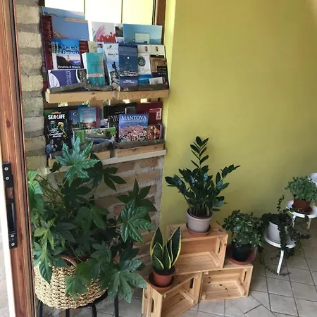 Casa Maggie